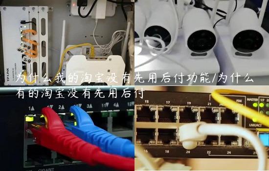 为什么我的淘宝没有先用后付功能/为什么有的淘宝没有先用后付