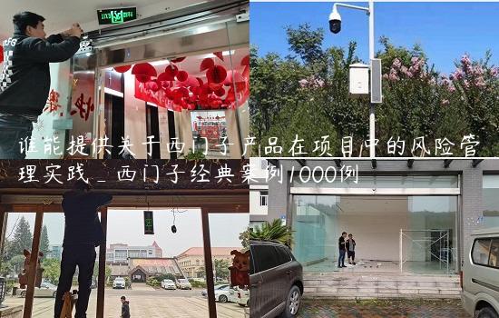 谁能提供关于西门子产品在项目中的风险管理实践_西门子经典案例1000例