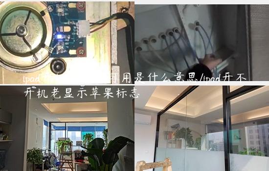 ipad开机显示不可用是什么意思/ipad开不开机老显示苹果标志