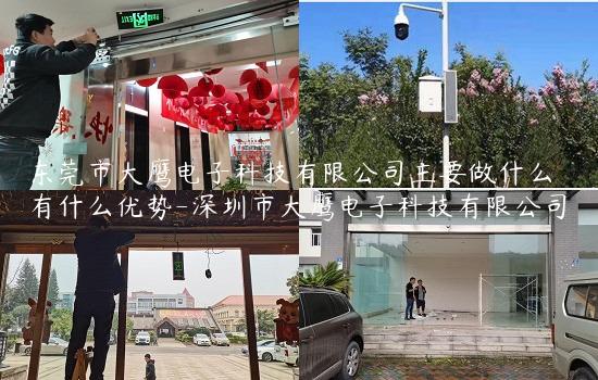 东莞市大鹰电子科技有限公司主要做什么 有什么优势-深圳市大鹰电子科技有限公司