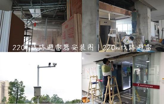 220kv线路避雷器安装图|220kv线路避雷器安装图解