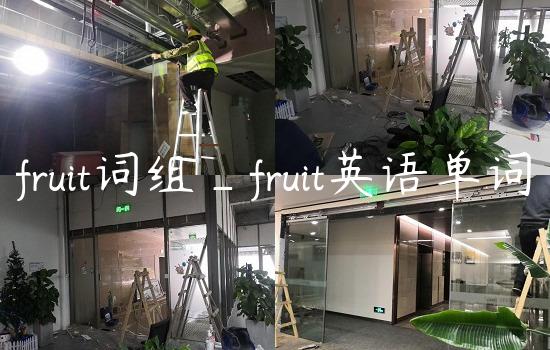 fruit词组_fruit英语单词