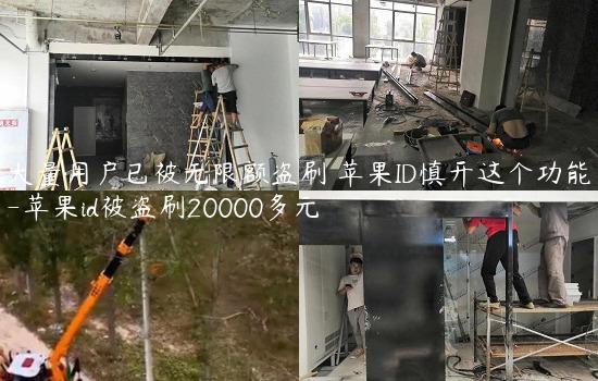 大量用户已被无限额盗刷 苹果ID慎开这个功能-苹果id被盗刷20000多元