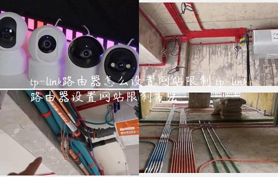 tp-link路由器怎么设置网站限制 tp-link路由器设置网站限制方法