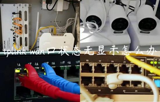 tplink wan口状态无显示怎么办