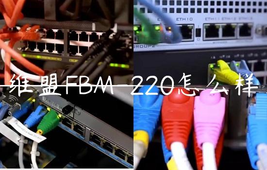 维盟FBM-220怎么样