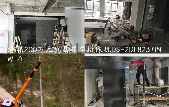 海康200万无红暴球型摄像机DS-2DF8231INW-A